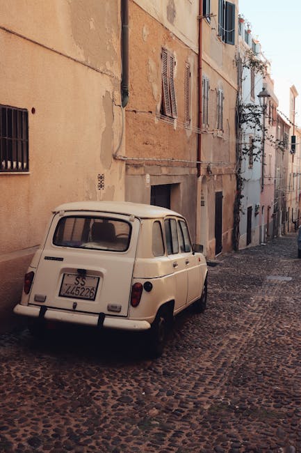 Household cleaning and essential supplies